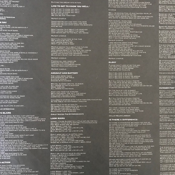 Vinyl LP 🎼🌼 - Picture 4 of 4